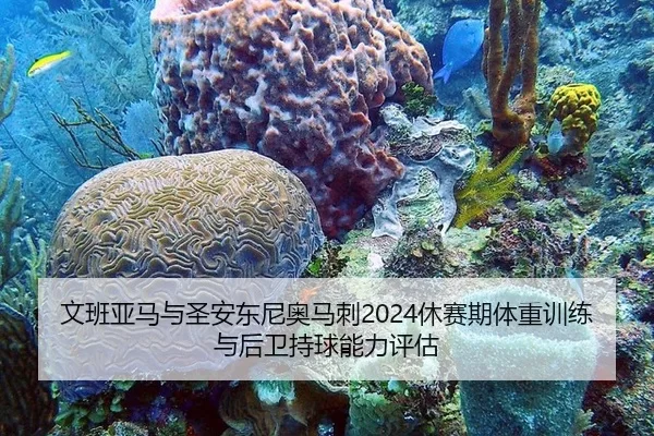 文班亚马与圣安东尼奥马刺2024休赛期体重训练与后卫持球能力评估